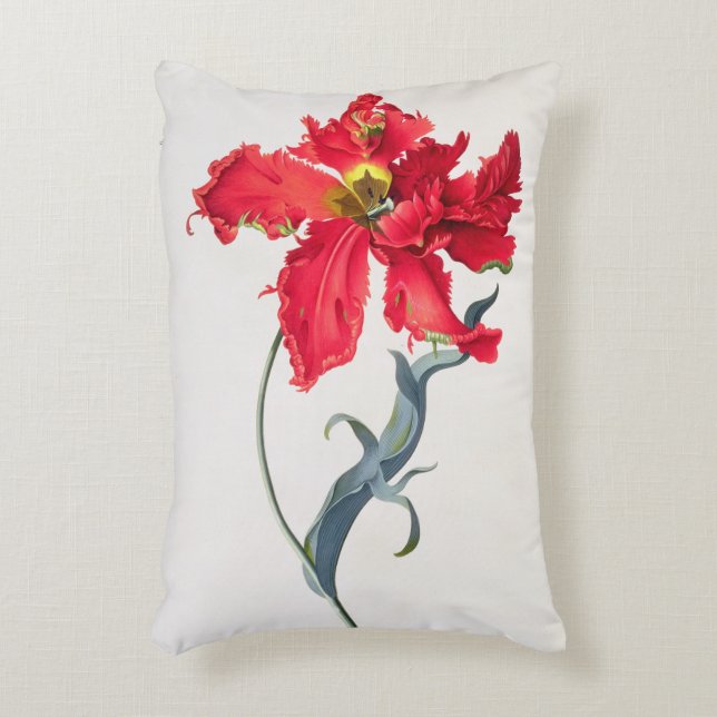 Almofada Decorativa Tulipa: Vermelho de Perroquet (Frente(Vertical))