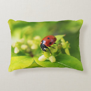 Almofada Decorativa Uma bela joaninha brilhante em folhas verdes