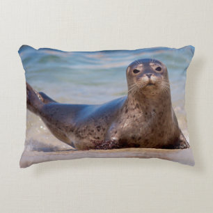 Almofada Decorativa Uma foca em uma praia ao longo da Costa do Pacífic