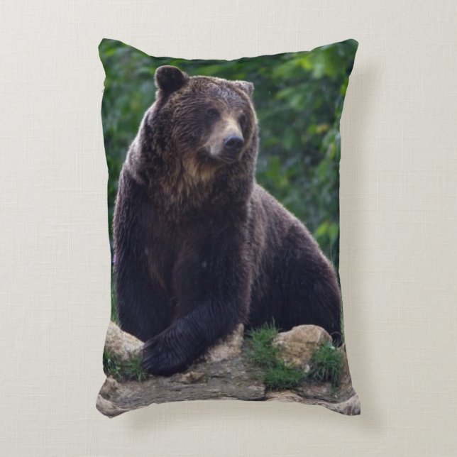 Almofada Decorativa Urso de Brown (Frente(Vertical))