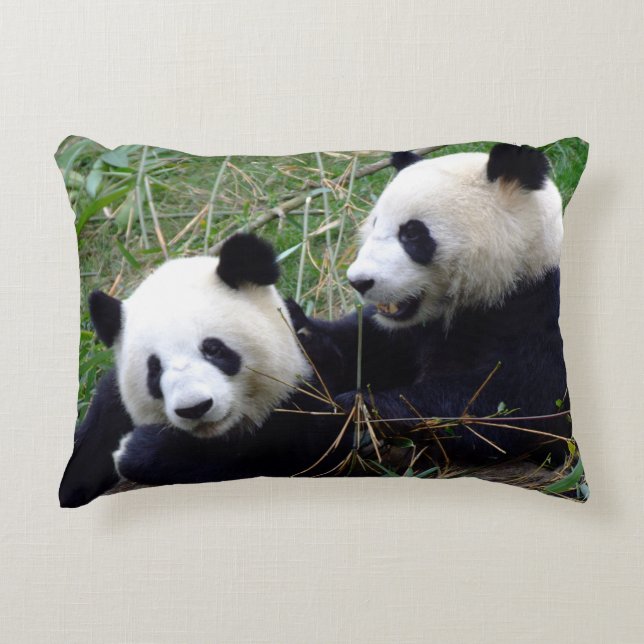 Almofada Decorativa Ursos-gigantes comendo bambu e tocando (engraçado) (Frente)