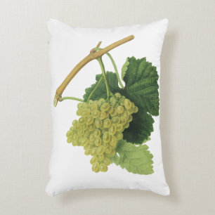 Almofada Decorativa Uvas Brancas para Vinho na Videira, Frutas Aliment
