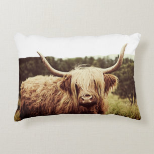 Almofada Decorativa Vaca de longa distância escocesa