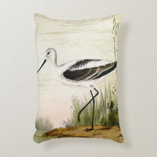 Almofada Decorativa Vintage Marine Life Shorebird, Aves de Cova