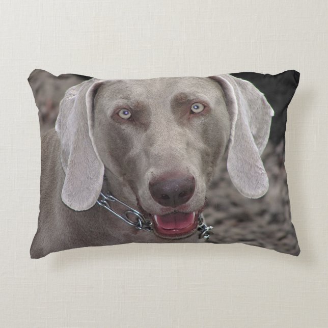 Almofada Decorativa Weimaraner (Frente)