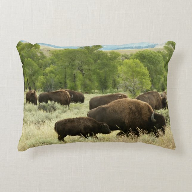Almofada Decorativa Wyoming Bison Nature (Frente)