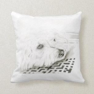 Almofada Deite o Cushion, atire o Cushion 41 x 41 cm
