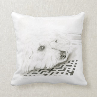 Almofada Deite o Cushion, atire o Cushion 41 x 41 cm