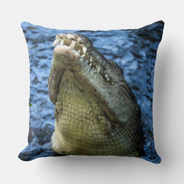 Almofada Dentes De Crocodilo Água (Frente)