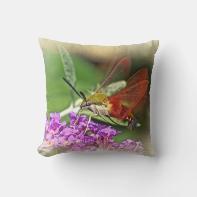 Almofada Desaprendendo Hummingbird Hawk Moth (Frente)