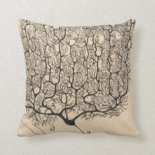 Almofada Desenho De Neuron Por Santiago Ramón Y Cajal