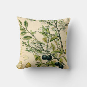Almofada Desenho Floral Antiquado De Impressão Botânico