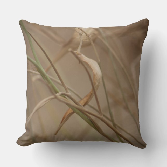 Almofada Desert Milkweed Pods (Frente)