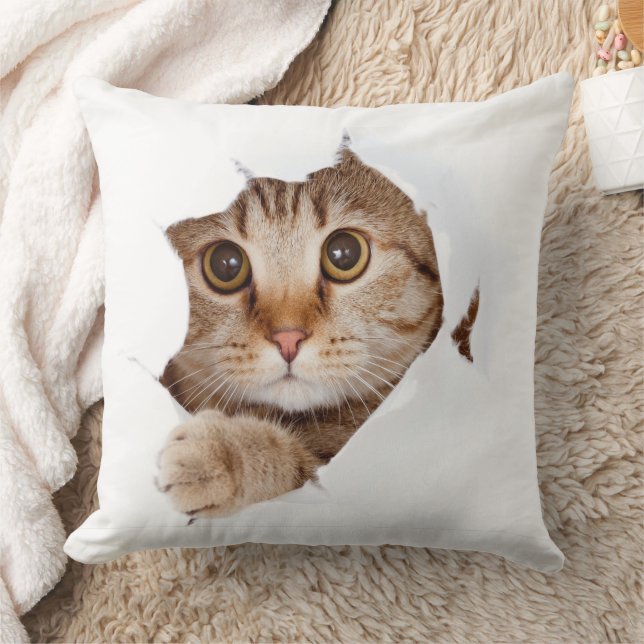 Almofada Design de Cobertor de Gatinho Fofo (Cobertor)