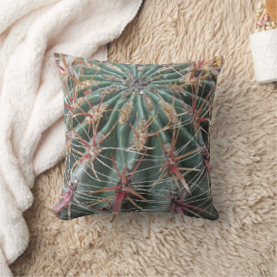 Almofada Design espinhoso do sudoeste das plantas de
