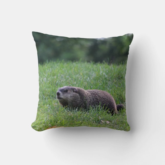 Almofada Digger de Buraco do Diabo (Frente)