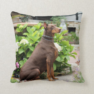 Almofada Doberman - vermelho - rochoso - jardim da igreja