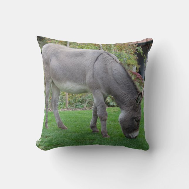 Almofada Doce Donkey No Jardim (Frente)