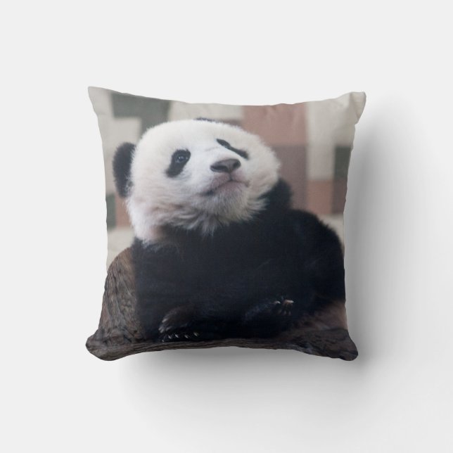 Almofada Doce Giant Panda Baby (Frente)