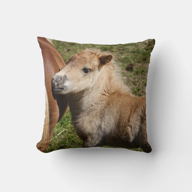 Almofada Doce Haflinger Foal (Frente)