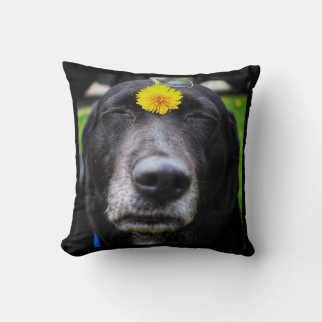 Almofada Docinho da equipe o travesseiro do cão de Meme (Frente)