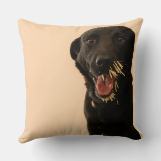 Almofada Dog vs. Porcupine Pillow