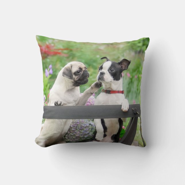 Almofada Dois cachorros por cachorro e Boston Terrier em um (Frente)