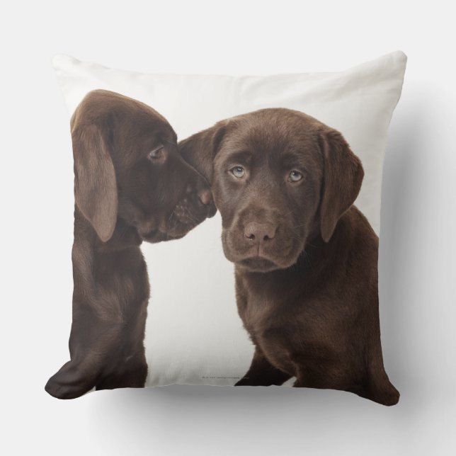 Almofada Dois filhotes de cachorro de labrador retriever do (Frente)