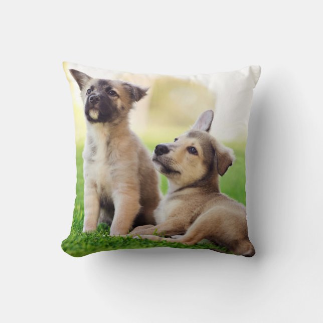 Almofada Dois German shepherd (Frente)
