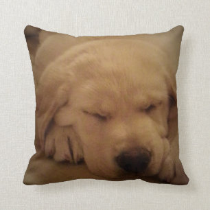 Almofada Dormir com um pãozinho amarelo