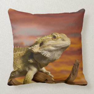 Almofada Dragão farpado (Pogona Vitticeps) no ramo,