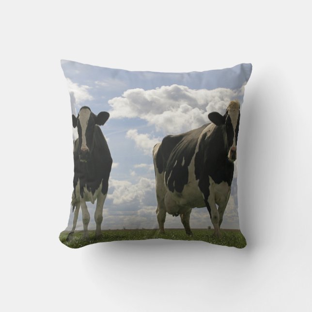 Almofada Duas vacas do frisão (Frente)