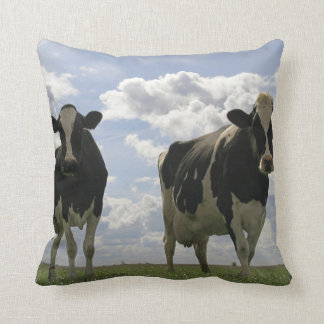Almofada Duas vacas do frisão