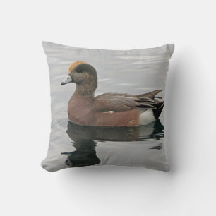 Almofada Duck Photo Male Wigeon em Calm Water Refletion