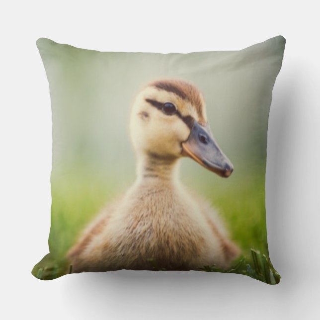 Almofada Ducking do pato selvagem do bebê (Frente)