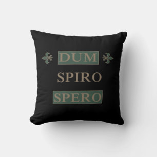 Almofada dum espiro spero, frase latina
