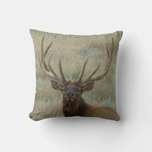 Almofada E10 Bull Elk em Velvet Head (Frente)