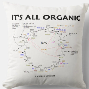 Almofada É Todo Ciclo Cítrico Cítrico Cítrico de Krebs Orgâ