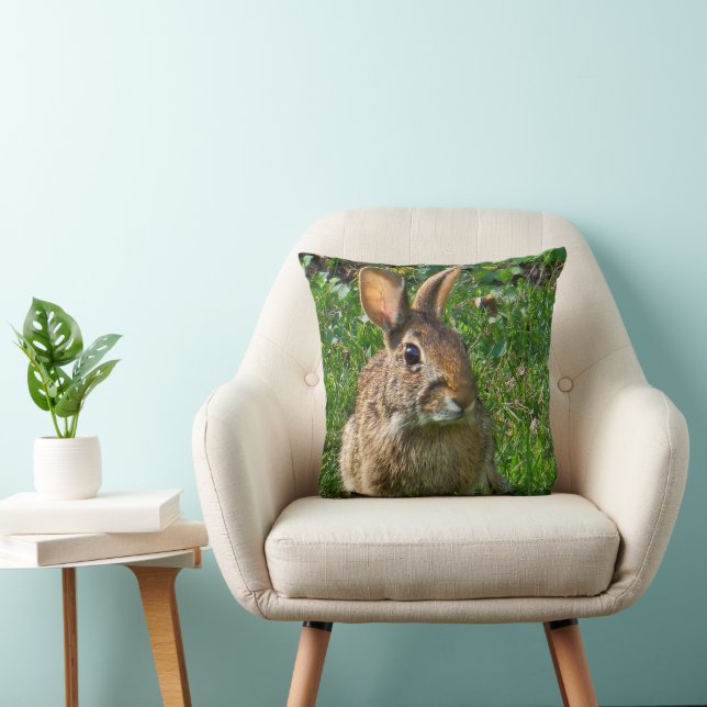 Almofada Eastern cottontail rabbit (Cadeira)