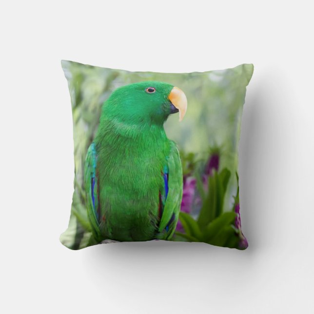 Almofada Eclectus Parrot Male (Frente)