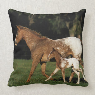 Almofada Égua e potro do Appaloosa