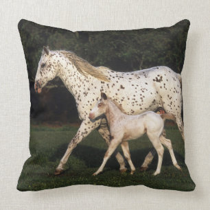 Almofada Égua e potro do Appaloosa no campo