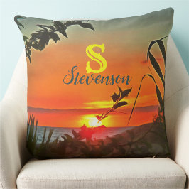 Almofada El Rio Pitillal 2009