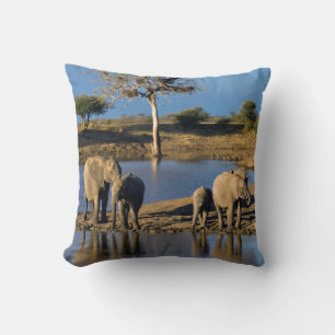 Almofada Elefantes Africanos da Savana (Loxodonta Africana)