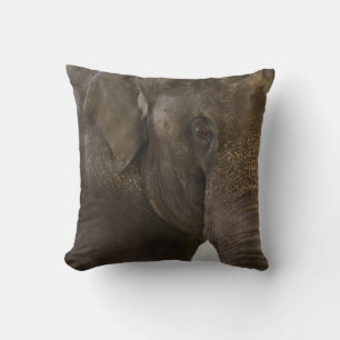 Almofada Elephant Up-Close