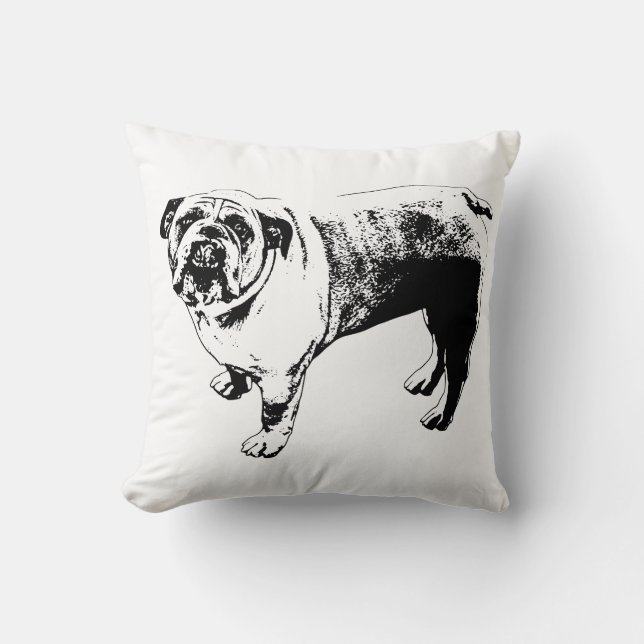 Almofada Ênfase do Sofá de Traço (Frente)