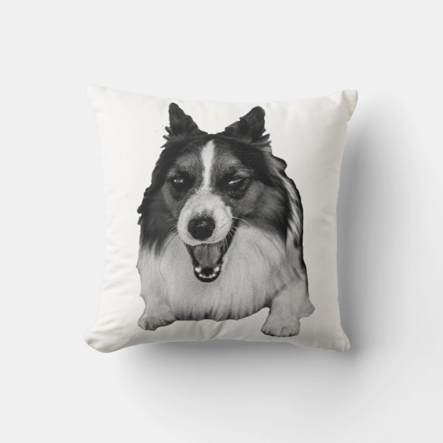 Almofada Ênfase do Sofá Evergreen (Frente)