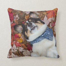 Almofada Engraçado, bonito, olhar do Corgi