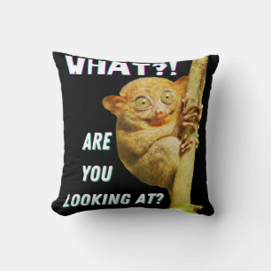 Almofada Engraçado, Grande Olho Tarsier O Que Você Está Olh