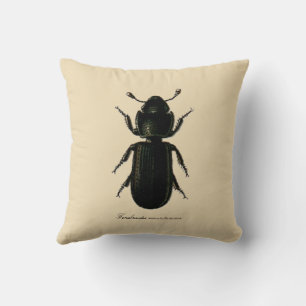 Almofada Entomologia Revers. do besouro de Cadelle dos